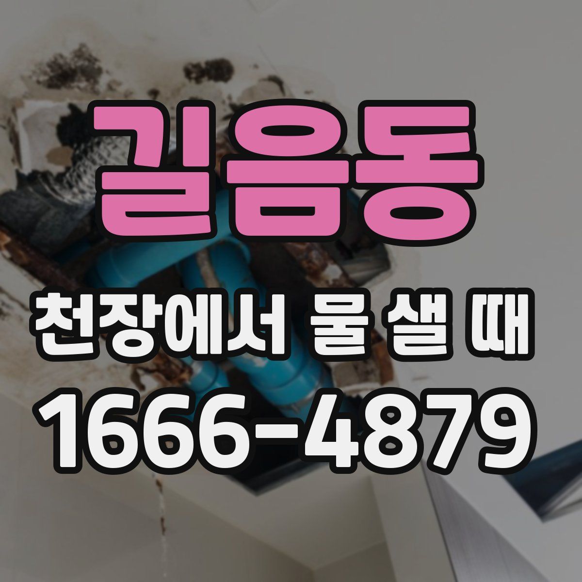 길음동 천장에서 물 샐 때
