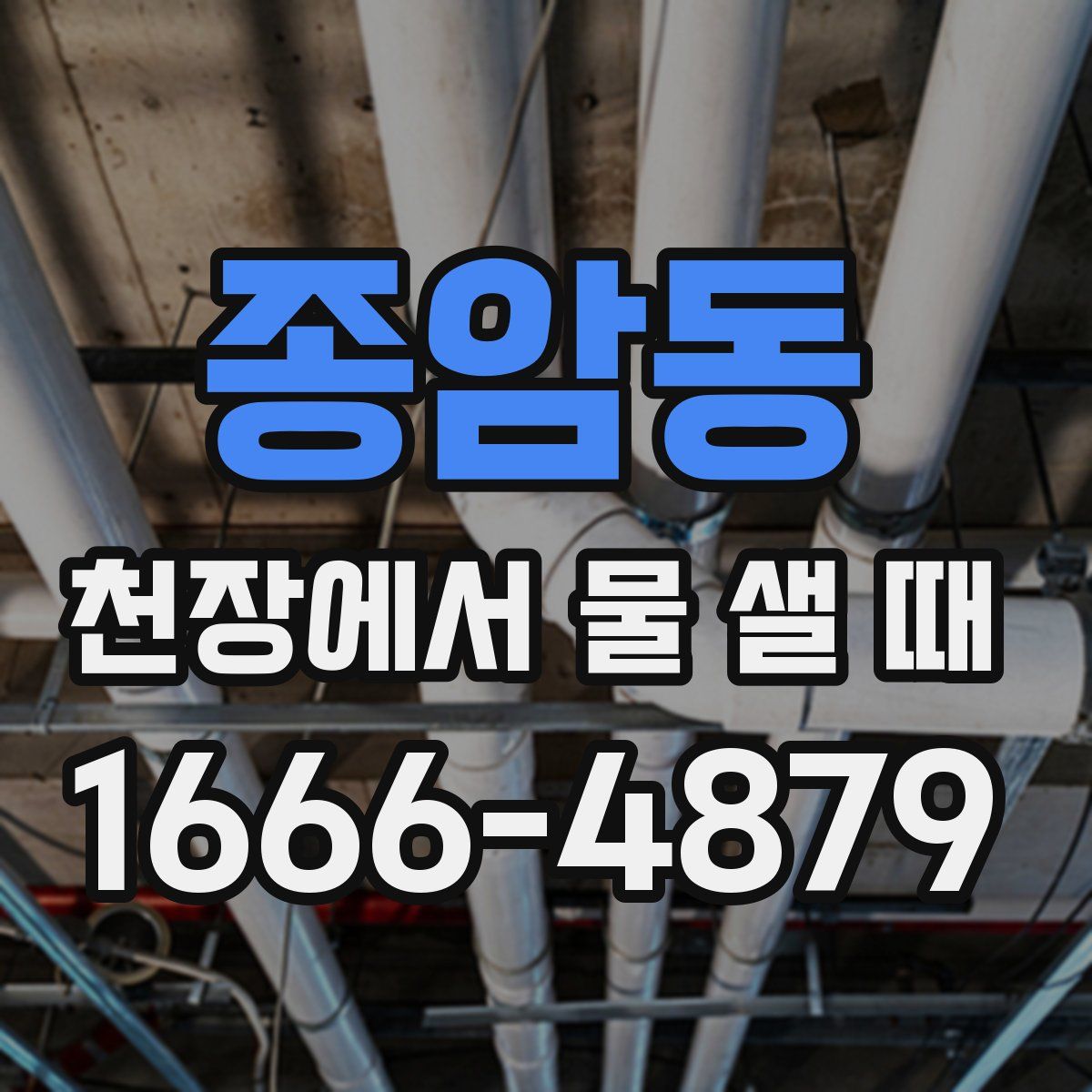 종암동 천장에서 물 샐 때
