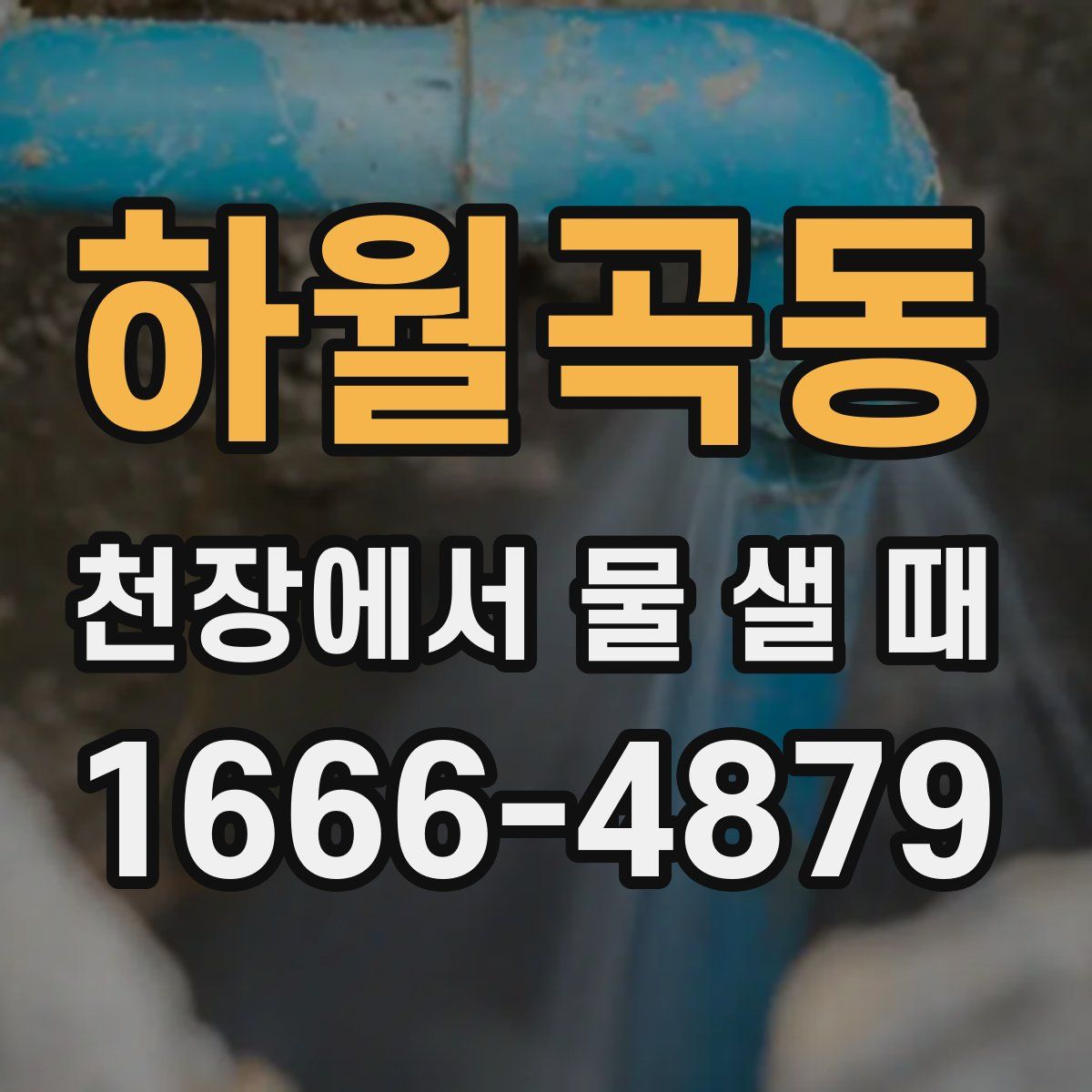 하월곡동 천장에서 물 샐 때