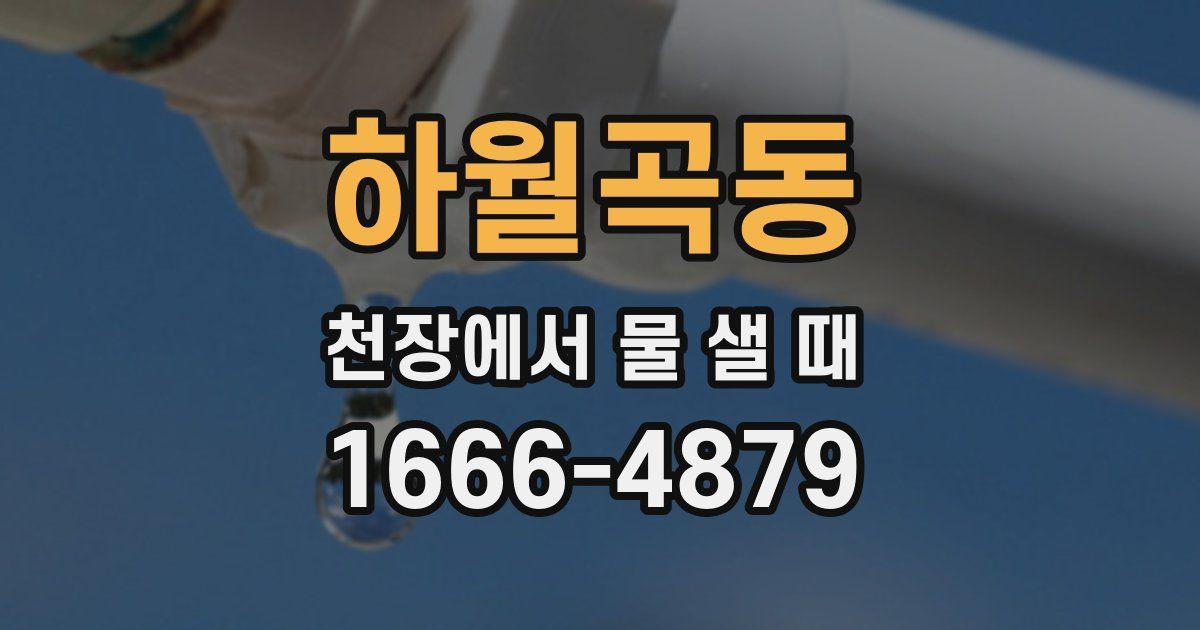 하월곡동 천장에서 물 샐 때