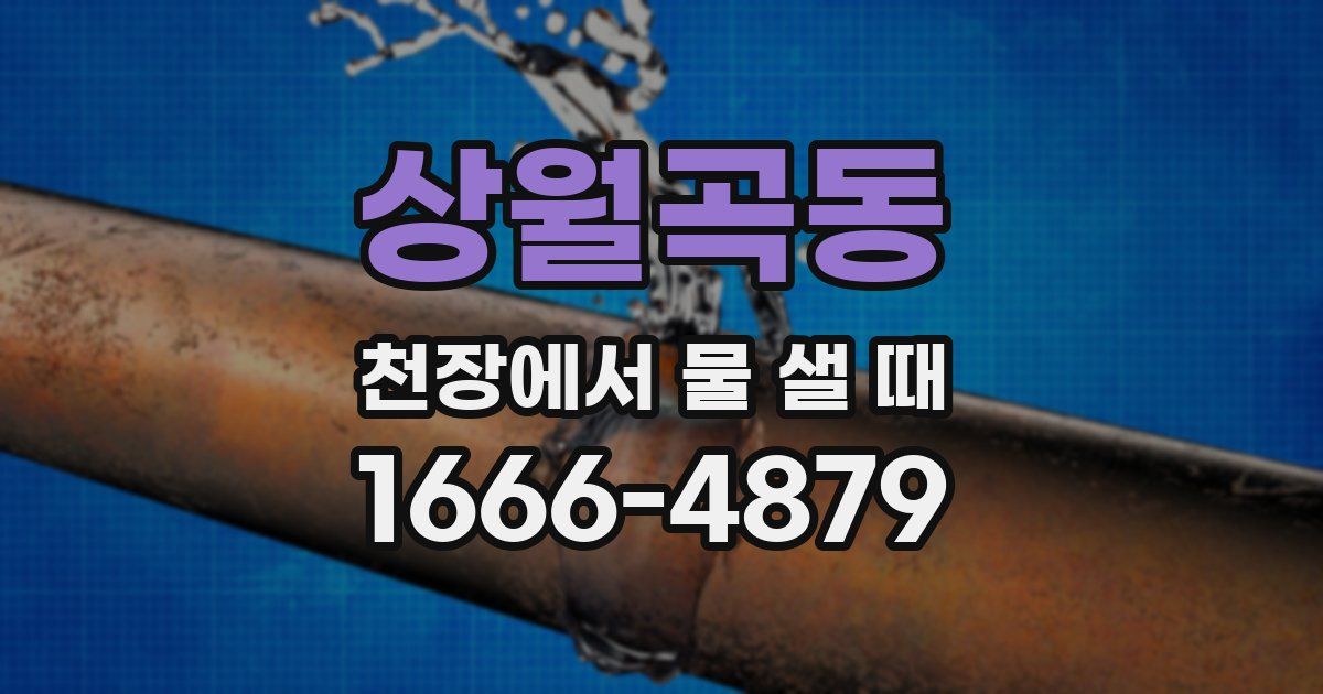 상월곡동 천장에서 물 샐 때