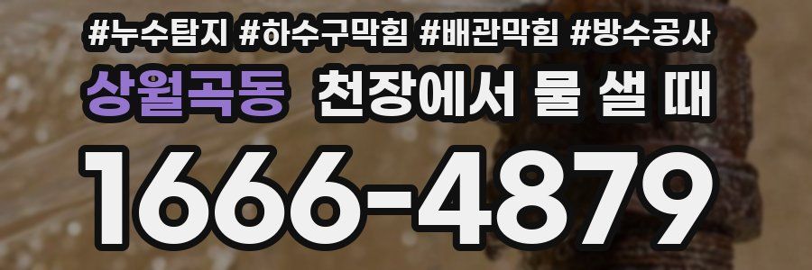 상월곡동 천장에서 물 샐 때