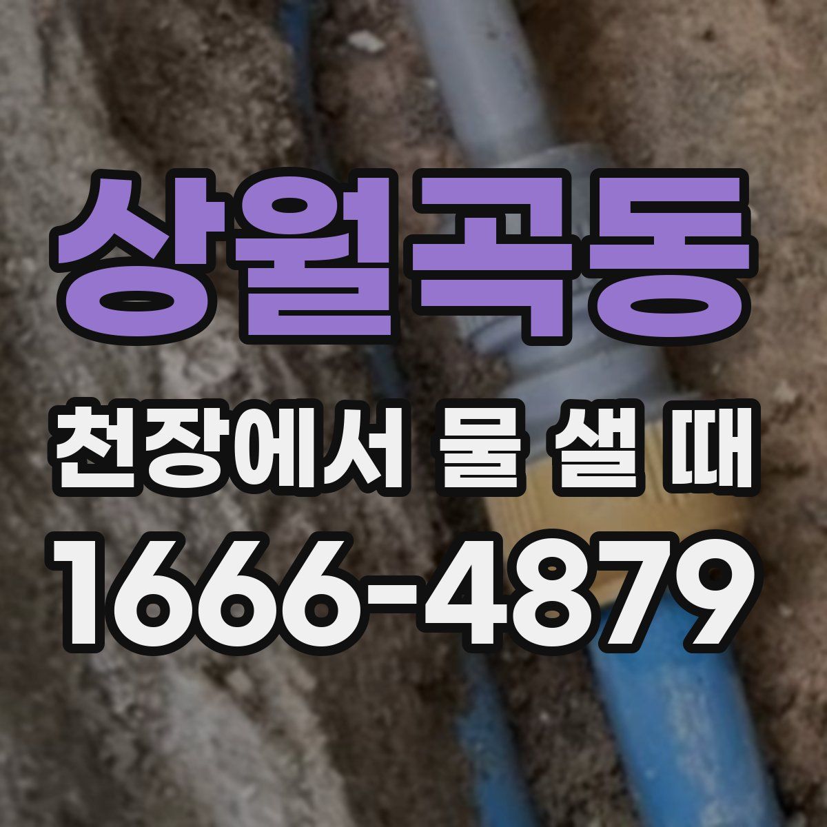 상월곡동 천장에서 물 샐 때