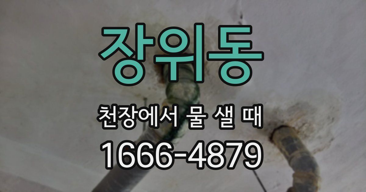 장위동 천장에서 물 샐 때