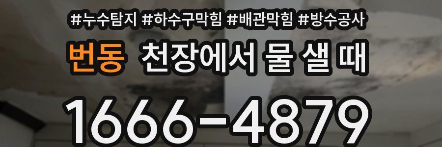 번동 천장에서 물 샐 때