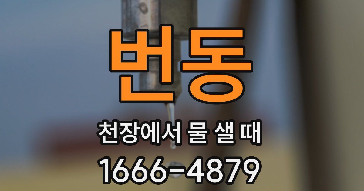 번동 천장에서 물 샐 때