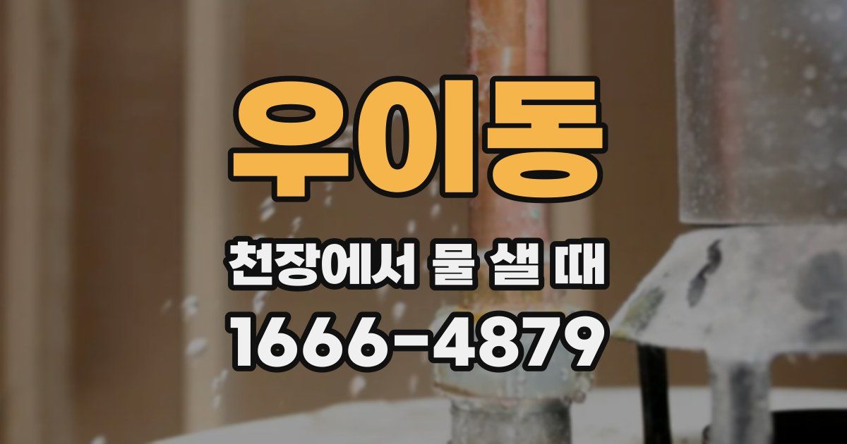 우이동 천장에서 물 샐 때