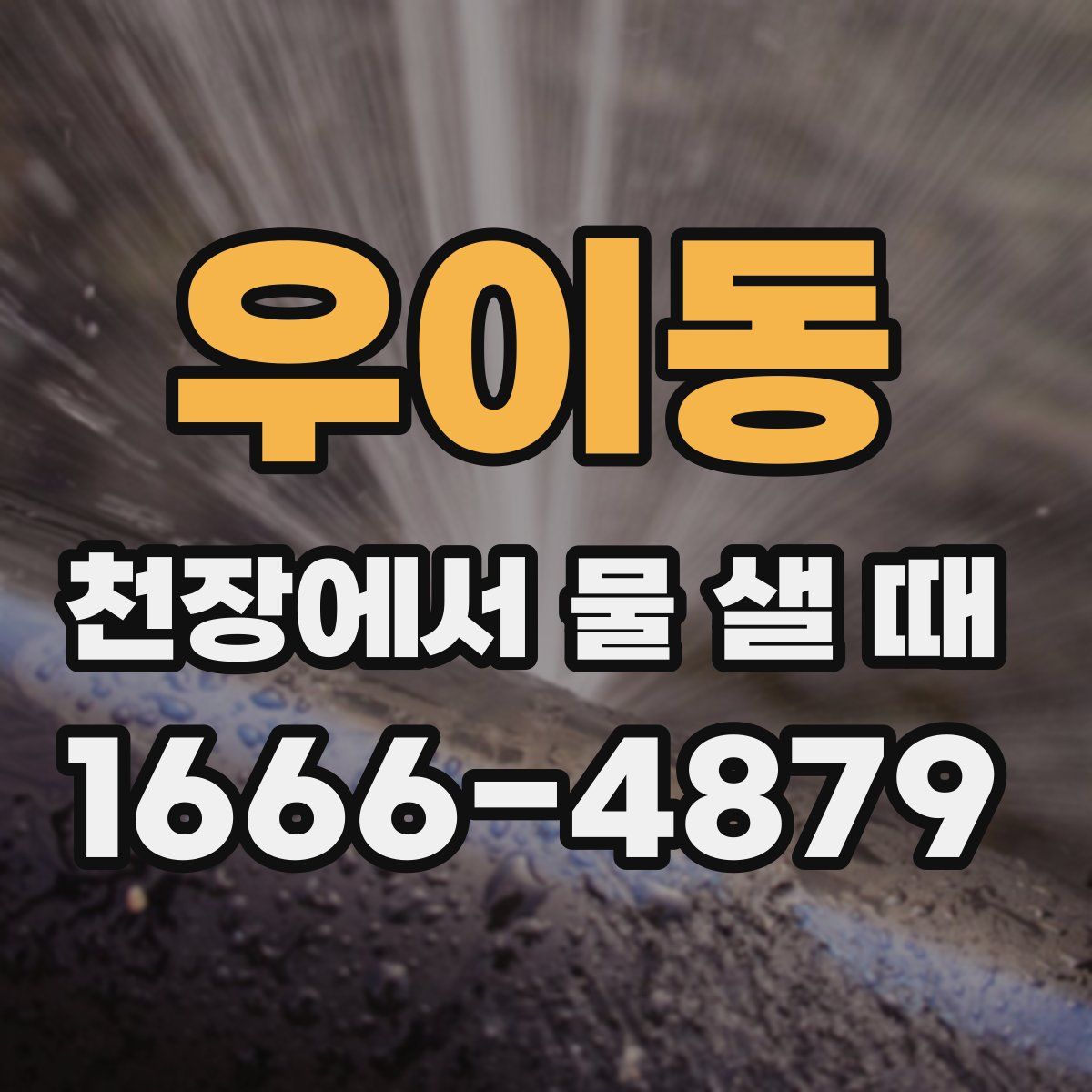 우이동 천장에서 물 샐 때