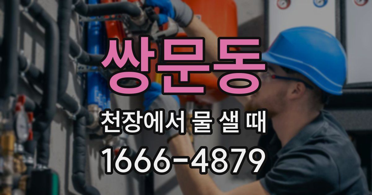 쌍문동 천장에서 물 샐 때