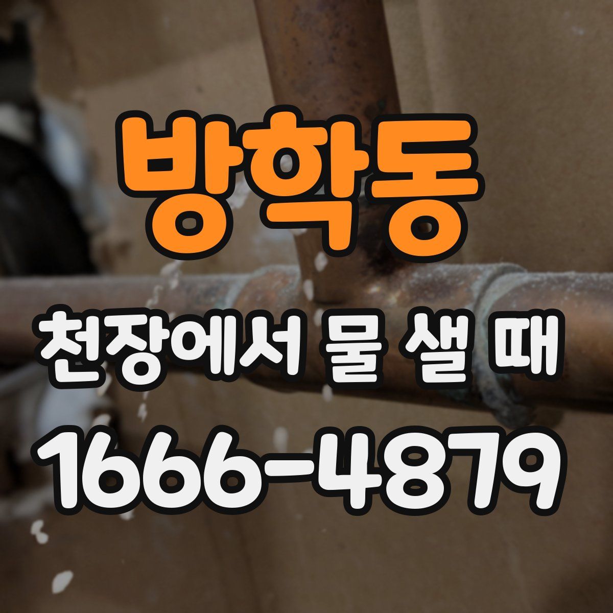 방학동 천장에서 물 샐 때