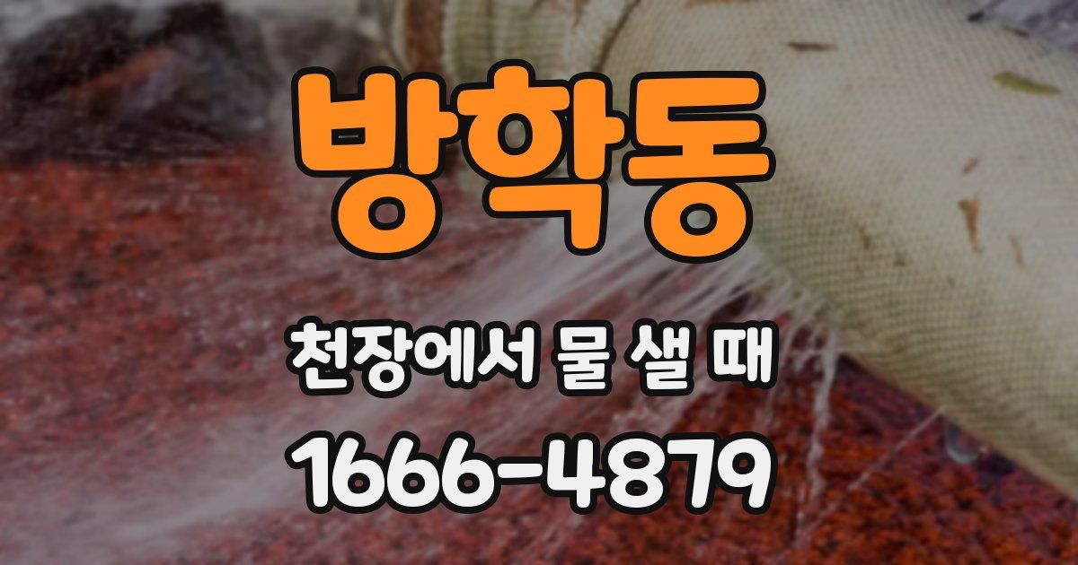 방학동 천장에서 물 샐 때
