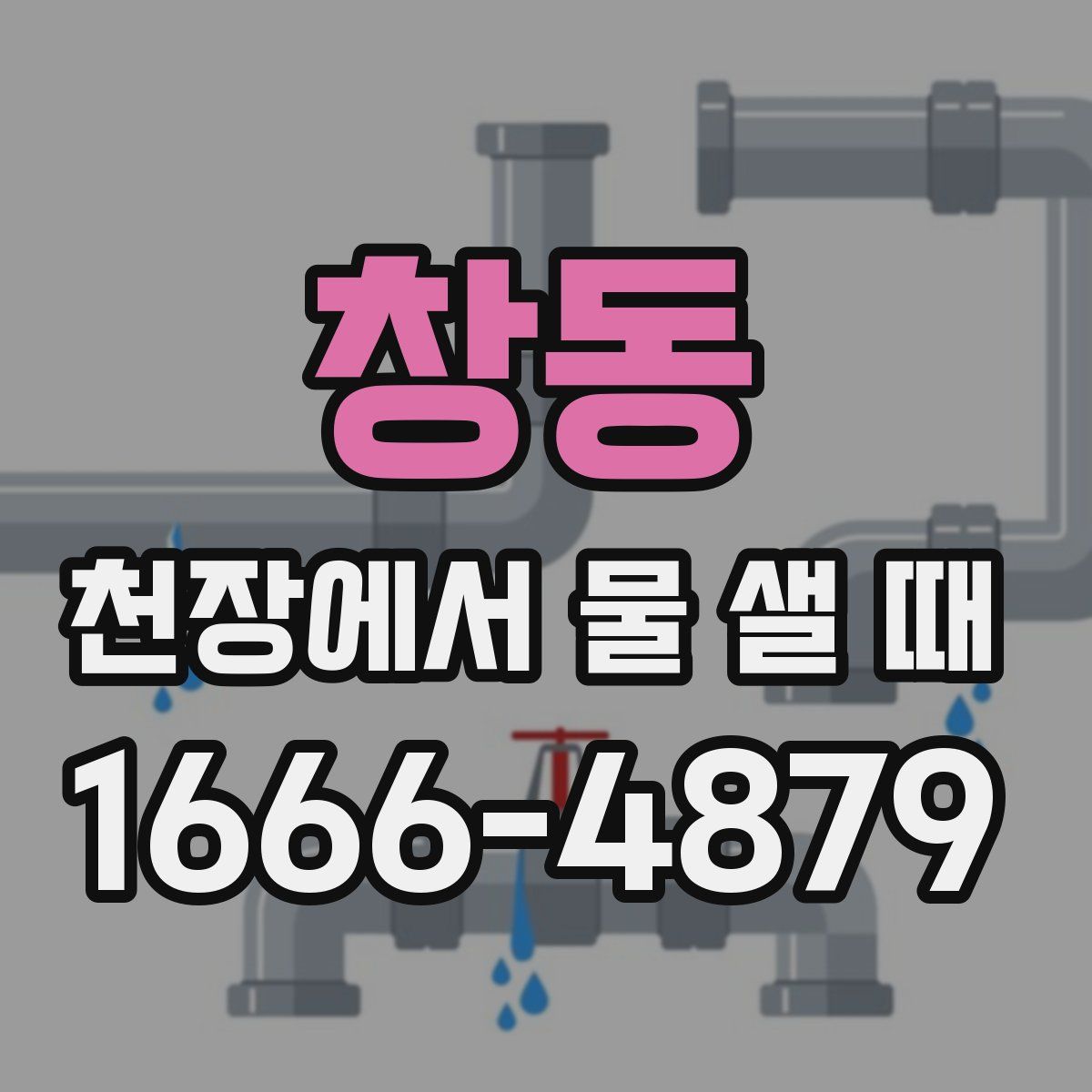 창동 천장에서 물 샐 때