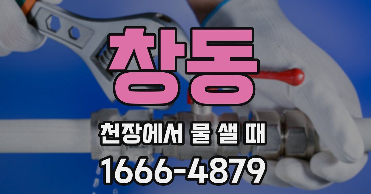 창동 천장에서 물 샐 때