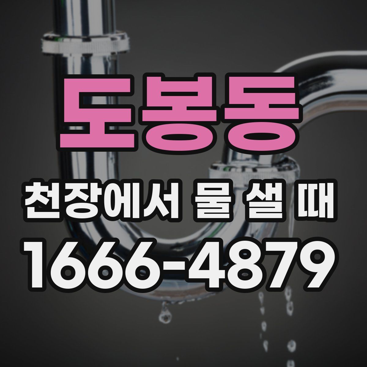 도봉동 천장에서 물 샐 때