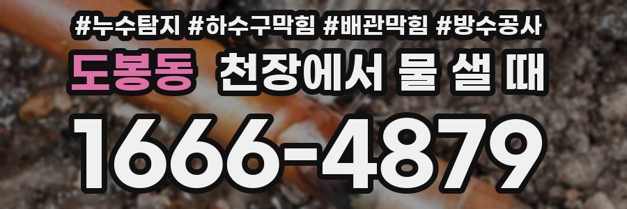 도봉동 천장에서 물 샐 때