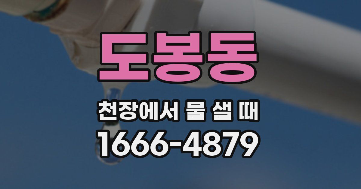 도봉동 천장에서 물 샐 때