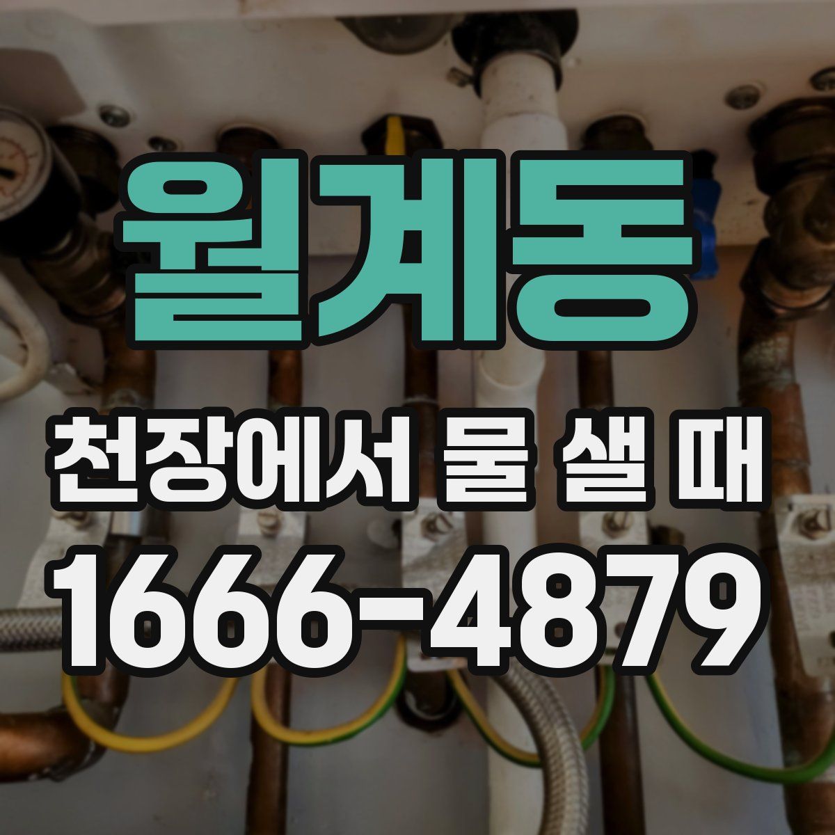 월계동 천장에서 물 샐 때
