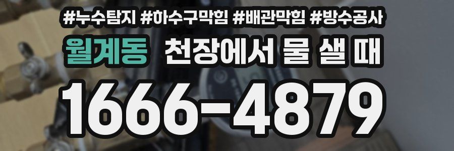 월계동 천장에서 물 샐 때