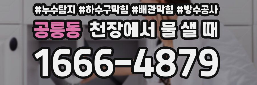 공릉동 천장에서 물 샐 때