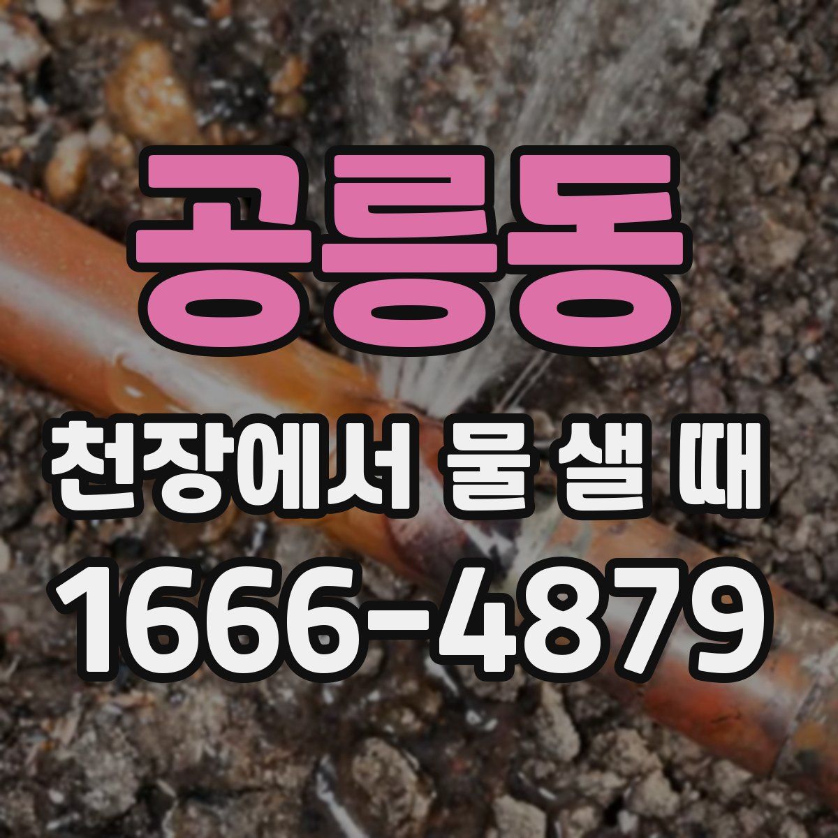 공릉동 천장에서 물 샐 때