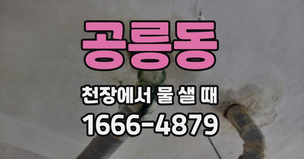 공릉동 천장에서 물 샐 때