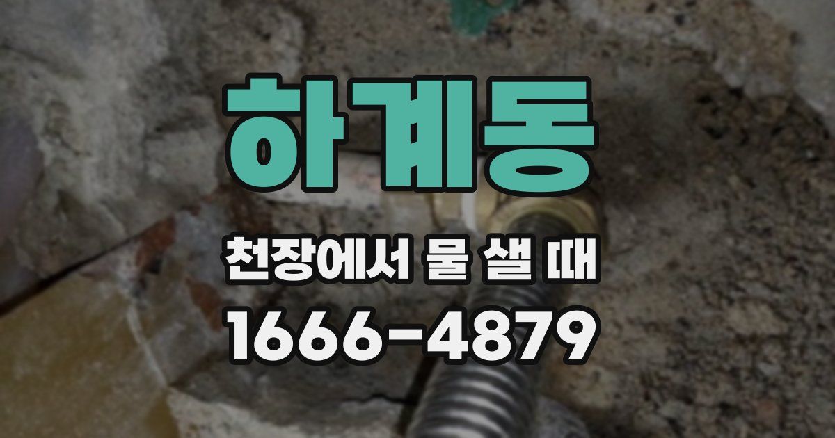 하계동 천장에서 물 샐 때
