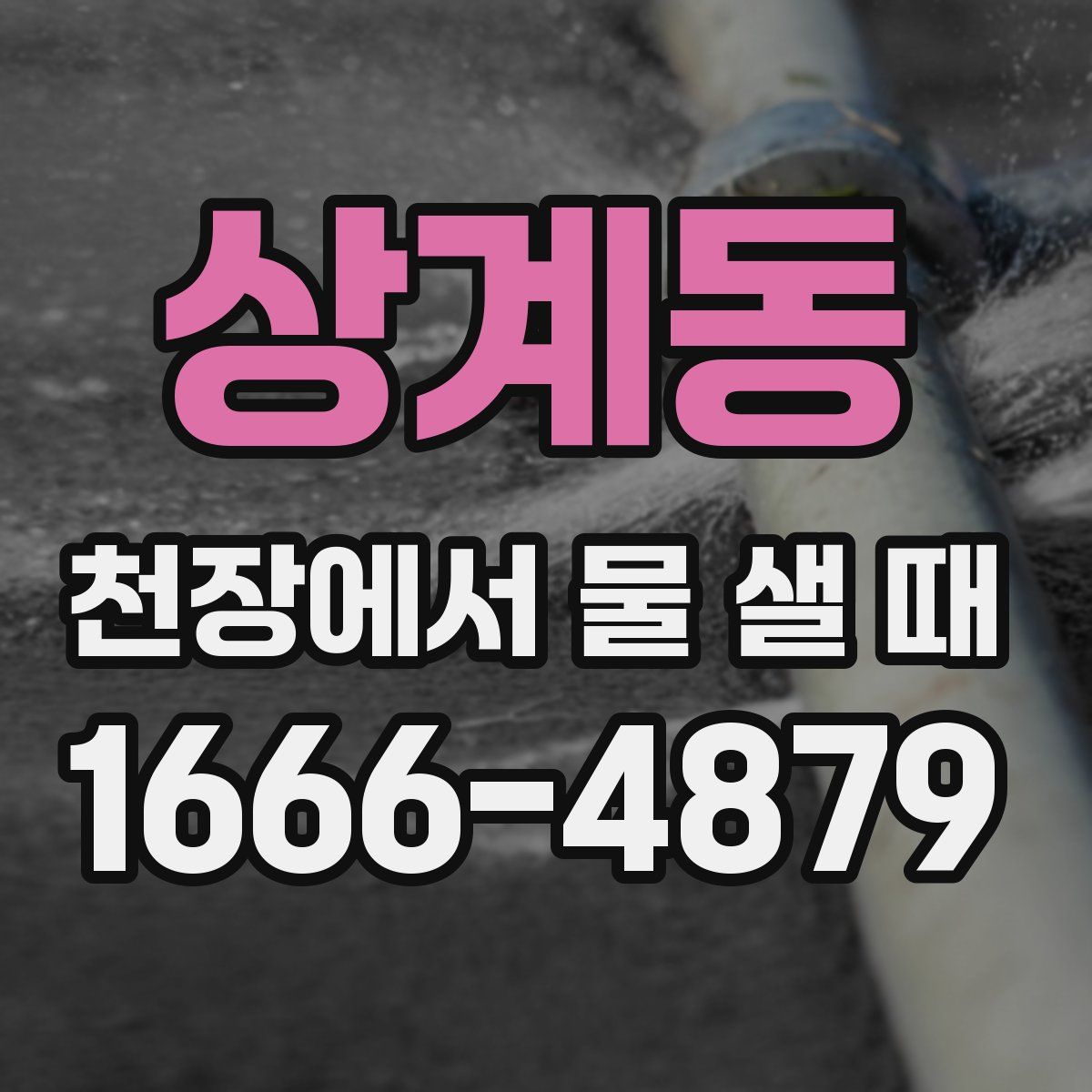 상계동 천장에서 물 샐 때
