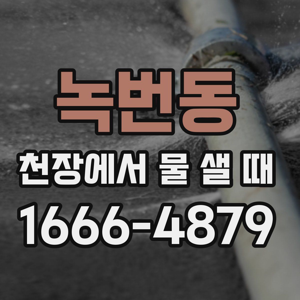 녹번동 천장에서 물 샐 때