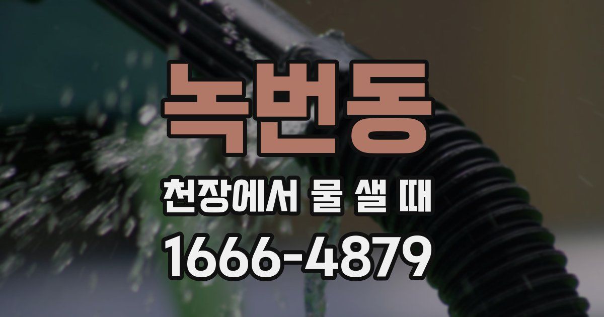 녹번동 천장에서 물 샐 때