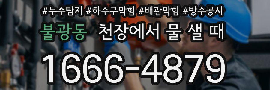 불광동 천장에서 물 샐 때