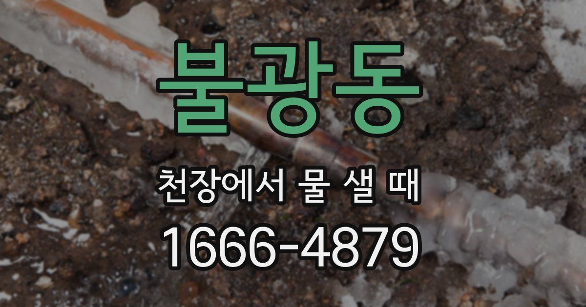 불광동 천장에서 물 샐 때