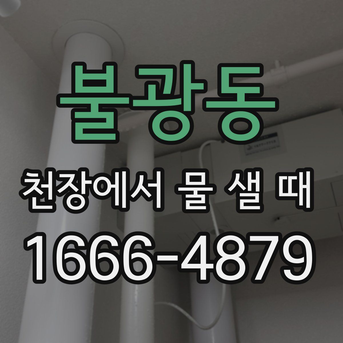불광동 천장에서 물 샐 때