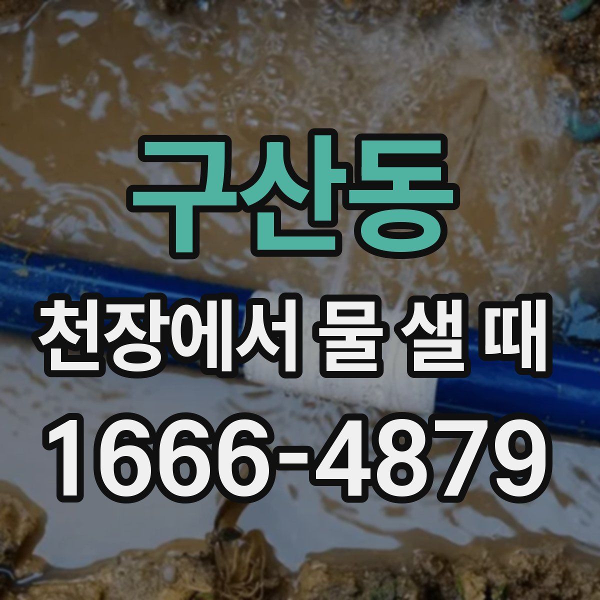 구산동 천장에서 물 샐 때