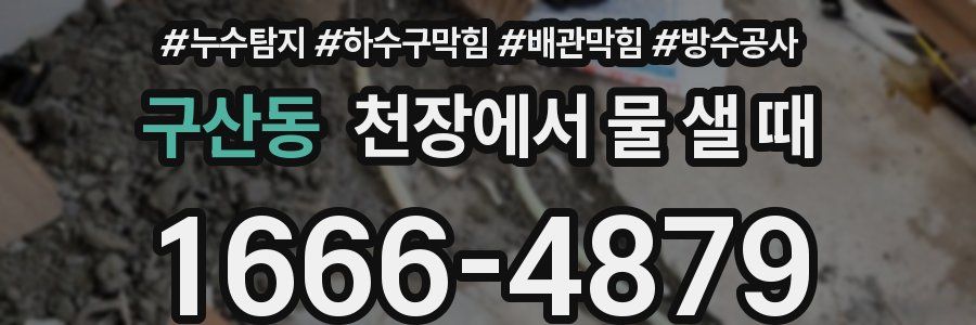 구산동 천장에서 물 샐 때