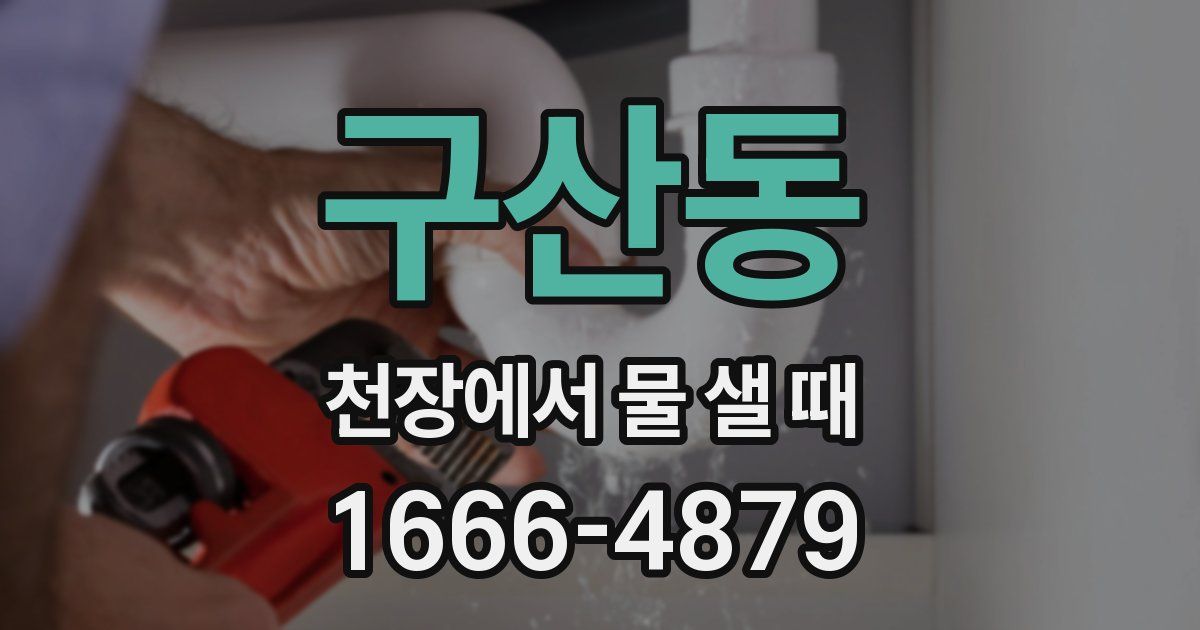 구산동 천장에서 물 샐 때