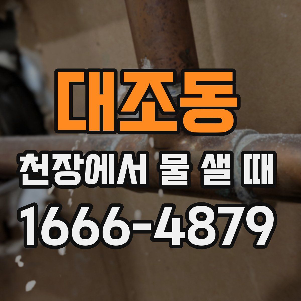 대조동 천장에서 물 샐 때