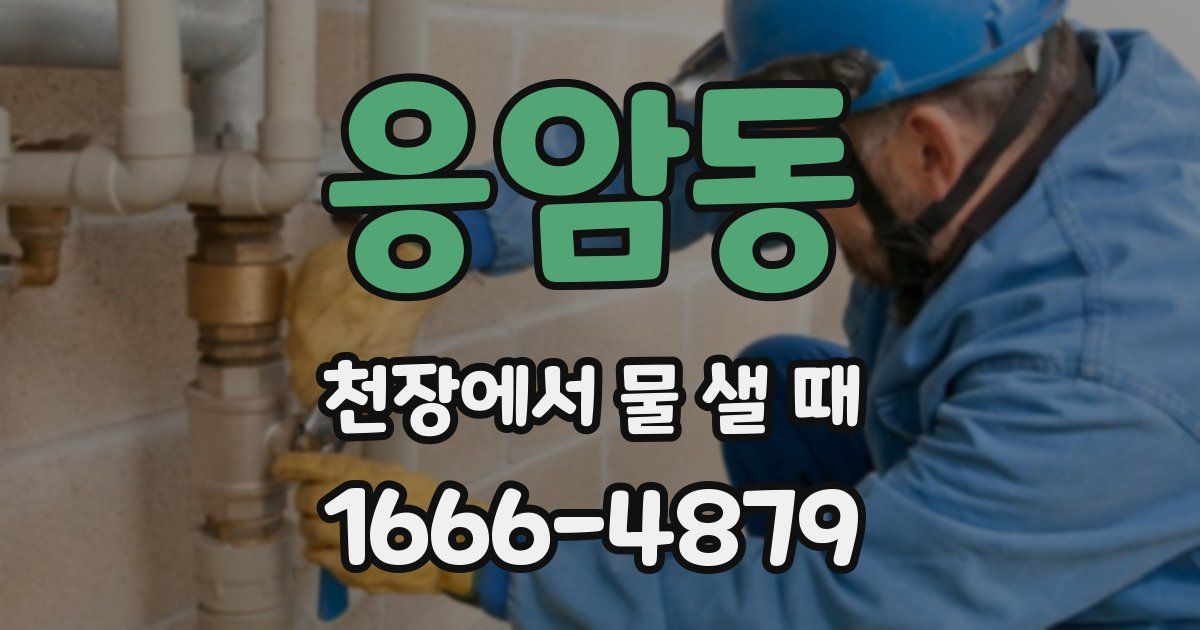 응암동 천장에서 물 샐 때