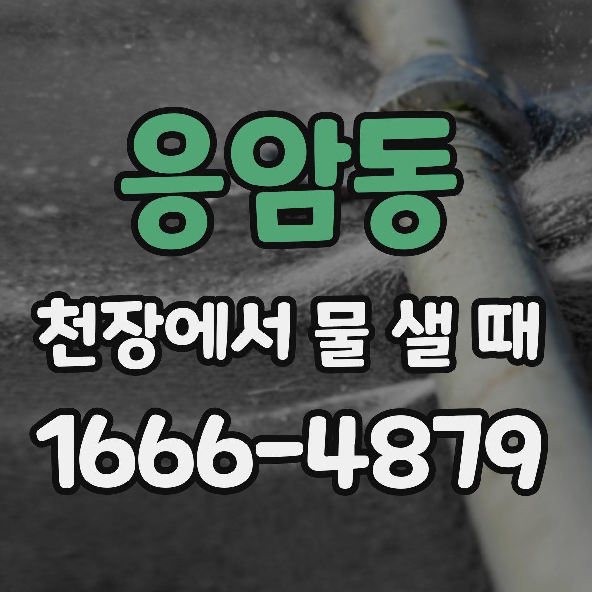 응암동 천장에서 물 샐 때