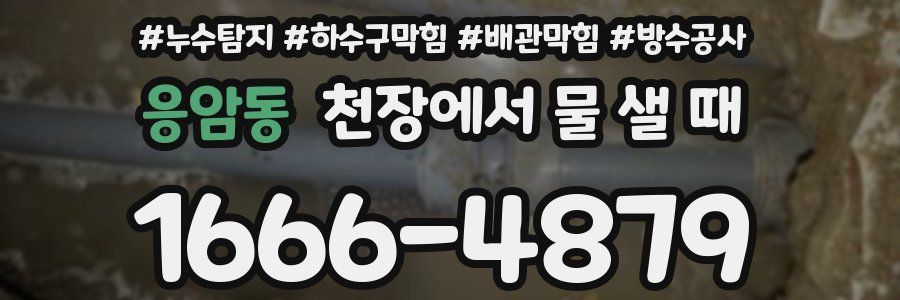 응암동 천장에서 물 샐 때