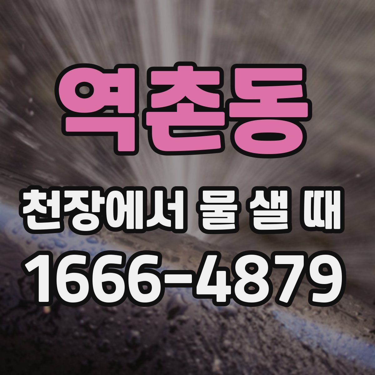 역촌동 천장에서 물 샐 때