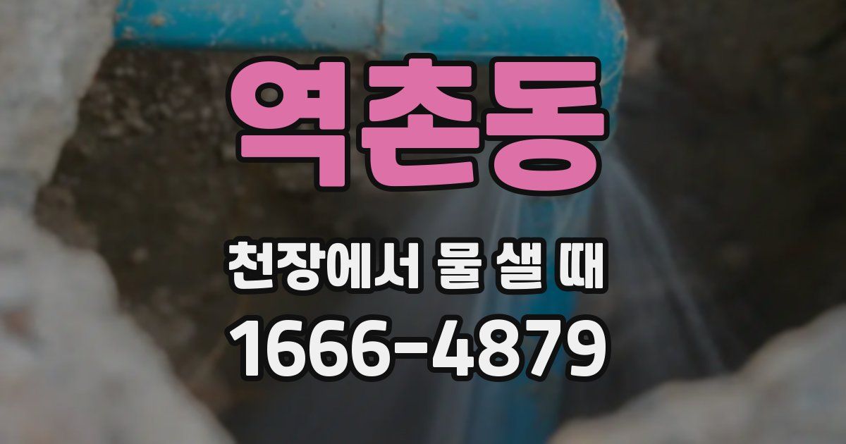 역촌동 천장에서 물 샐 때
