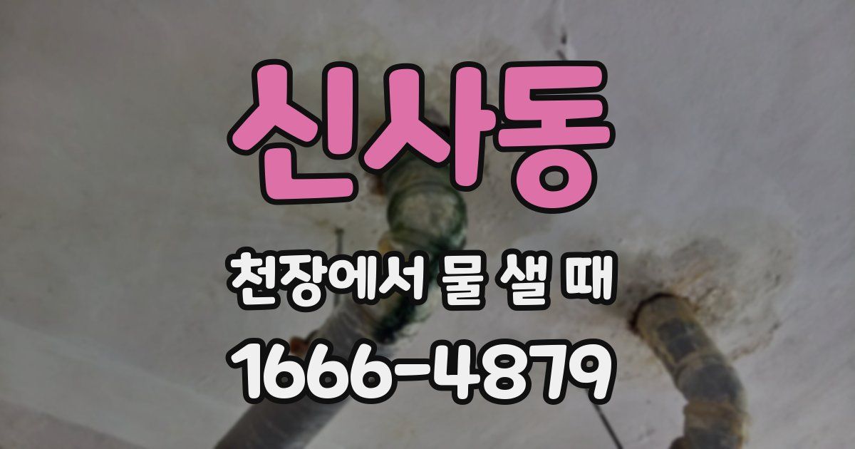 신사동 천장에서 물 샐 때