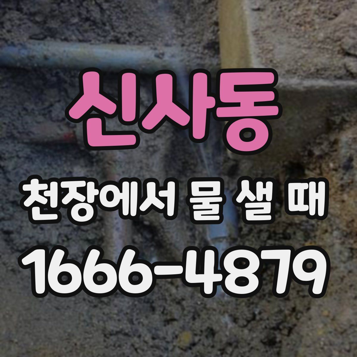 신사동 천장에서 물 샐 때