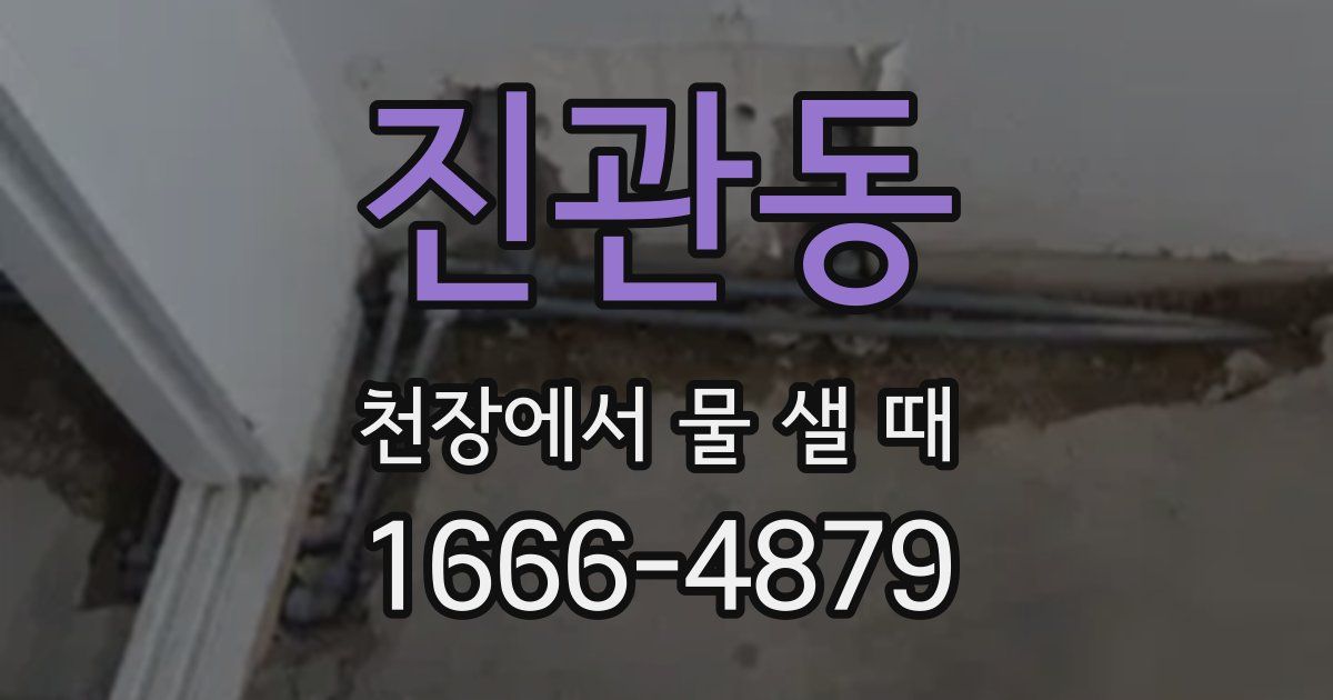 진관동 천장에서 물 샐 때