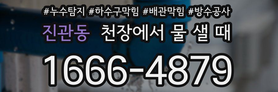 진관동 천장에서 물 샐 때