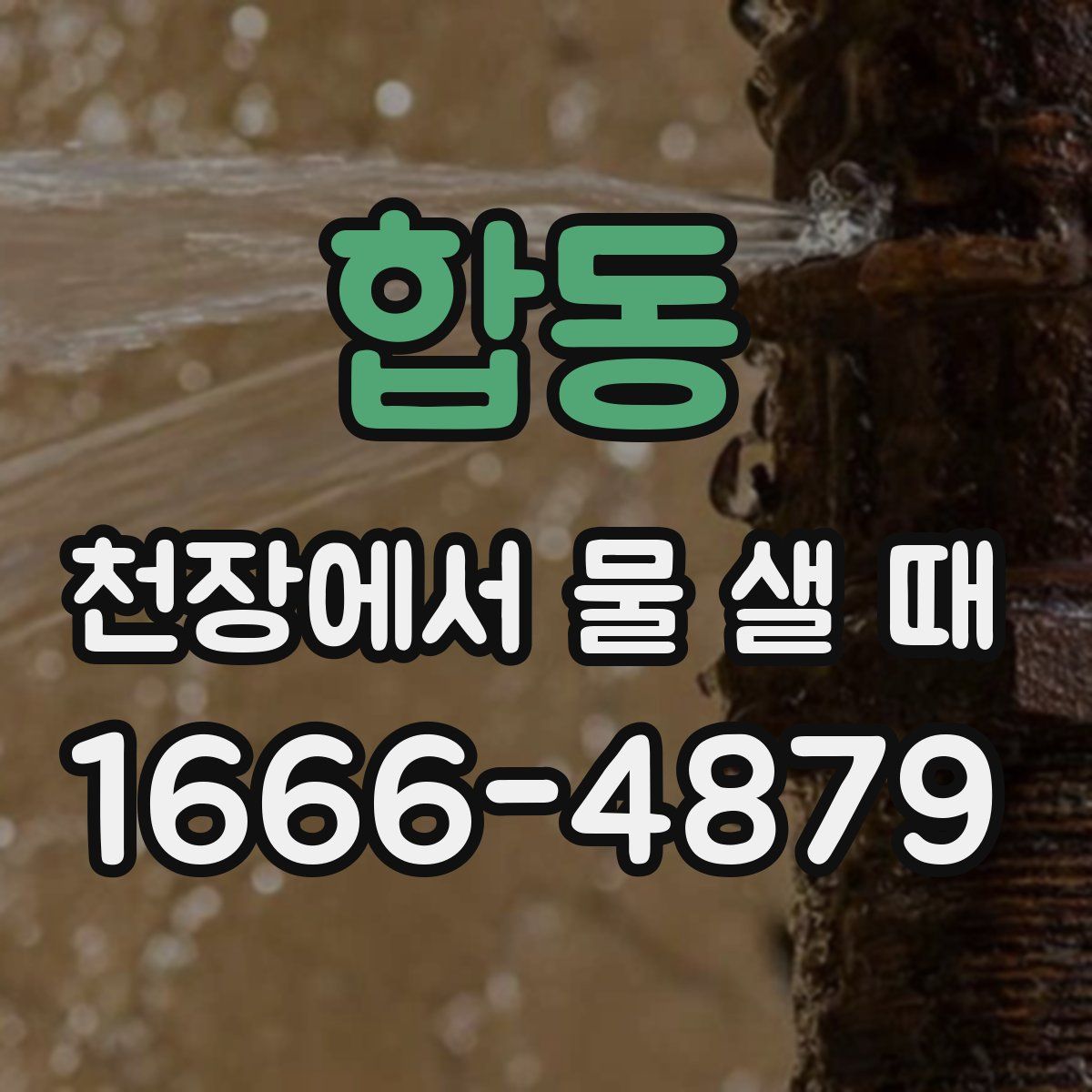 합동 천장에서 물 샐 때