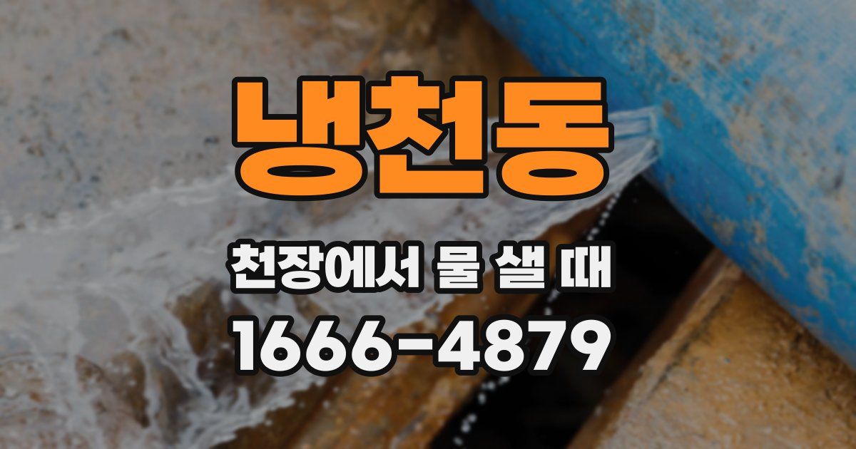 냉천동 천장에서 물 샐 때