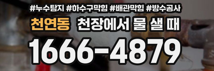 천연동 천장에서 물 샐 때