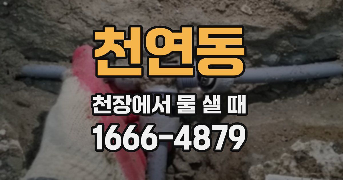 천연동 천장에서 물 샐 때