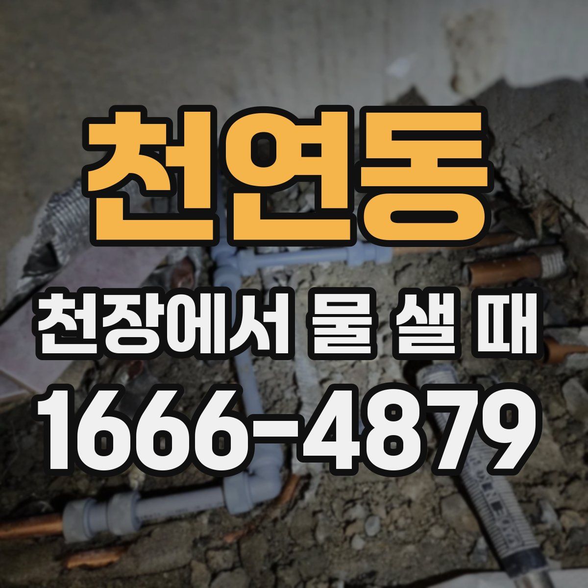 천연동 천장에서 물 샐 때